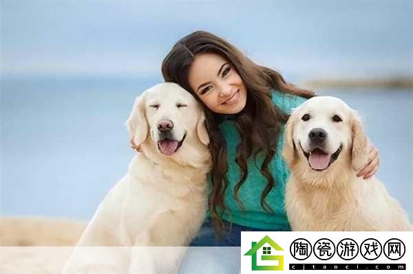 狗狗配人怎么配：1.-狗狗与主人：完美搭配的秘密揭示