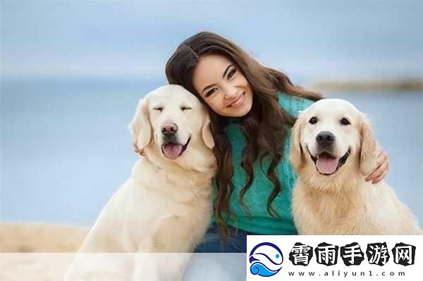 狗狗配人怎么配：1.狗狗与主人：完美搭配的秘密揭示