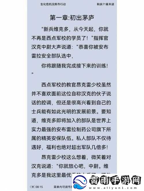 解决生化危机浣熊市行动卡顿问题的有效方法