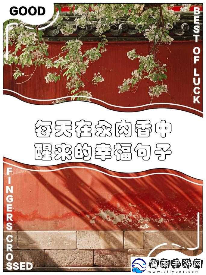 每天都在汆肉中醒来与奶油尖尖的奇妙经历