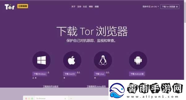 外国站开放的浏览器-1.-＂探索全球络：最强大的浏览器扩展推荐