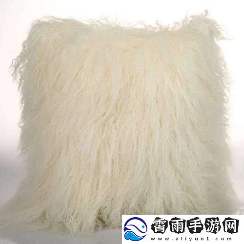 AAAA-级毛皮最简单三个标志：特点与优势