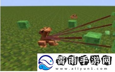 我的世界青蛙有什么用-我的世界青蛙用途介绍