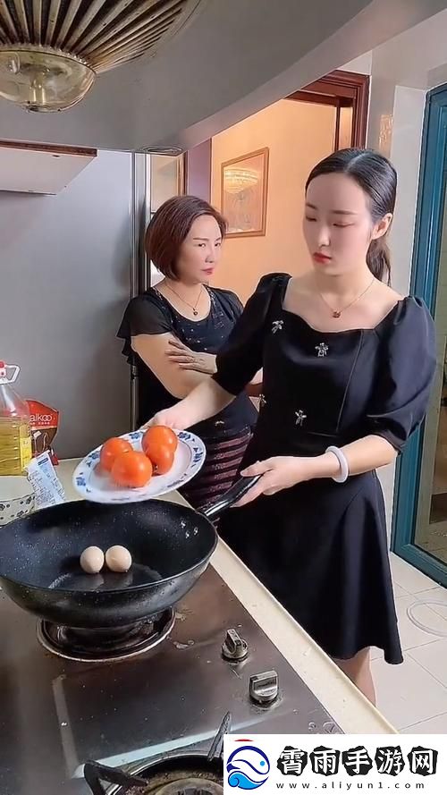“科技江湖-儿媳妇儿引爆热情的‘芯片’”