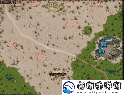 诺亚之心