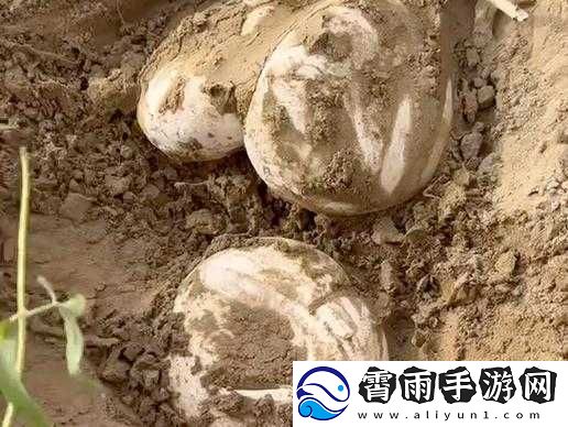 幻塔黑藓仙人掌沙葱乱炖汤：沙漠中的美味养生汤谱