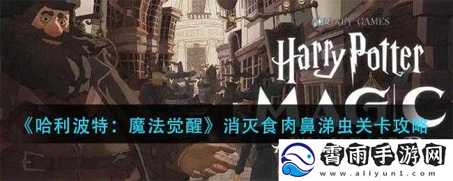 哈利波特魔法觉醒攻略