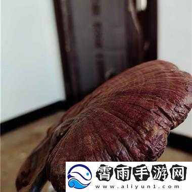 江湖秘闻