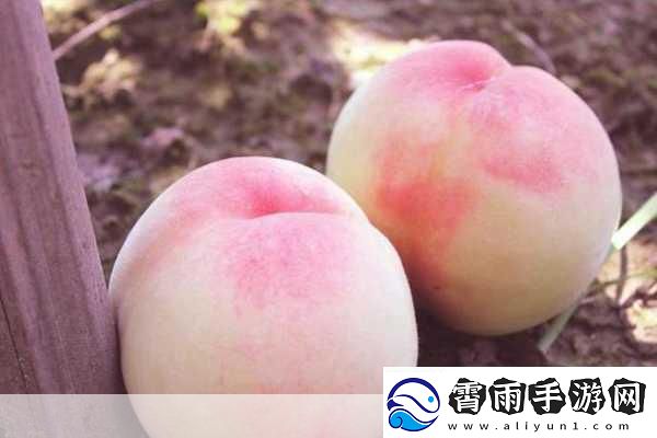 水蜜桃精品一二三