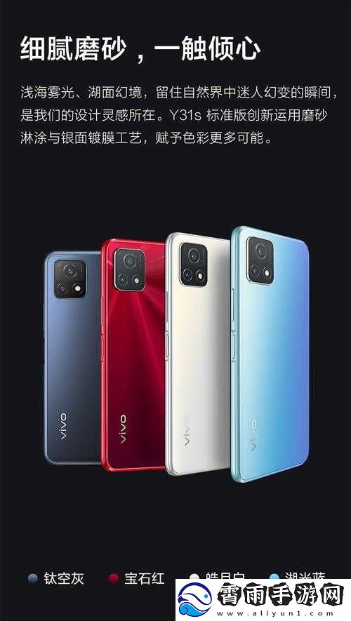 一级成色好的-y31s-标准版评测搬运站新篇章：全新解读