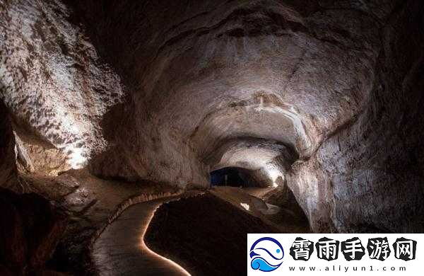 金铲铲在神秘森林秘境现奇异洞穴真相揭晓