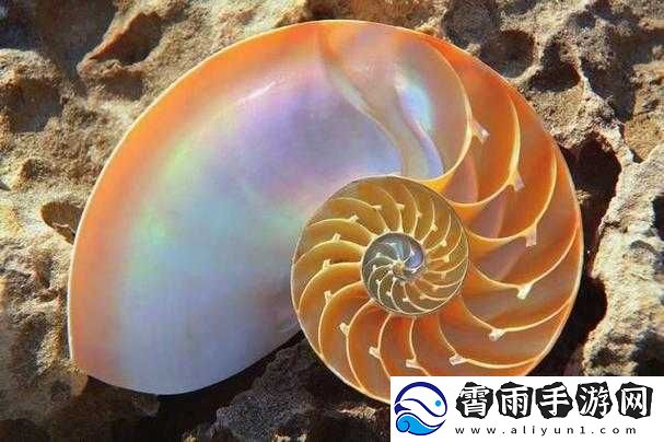 关于变换色彩的奥秘——场别开生面的你画我猜挑战赛
