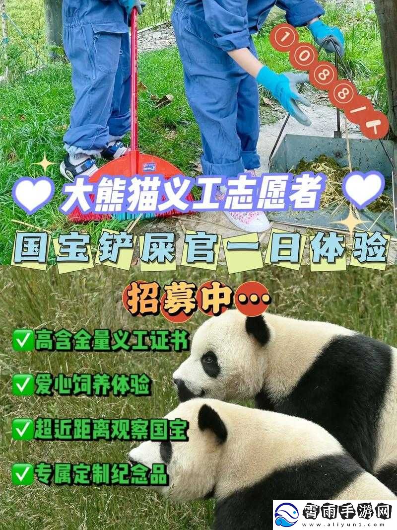 熊猫餐厅雇佣站：招募与留住人才攻略