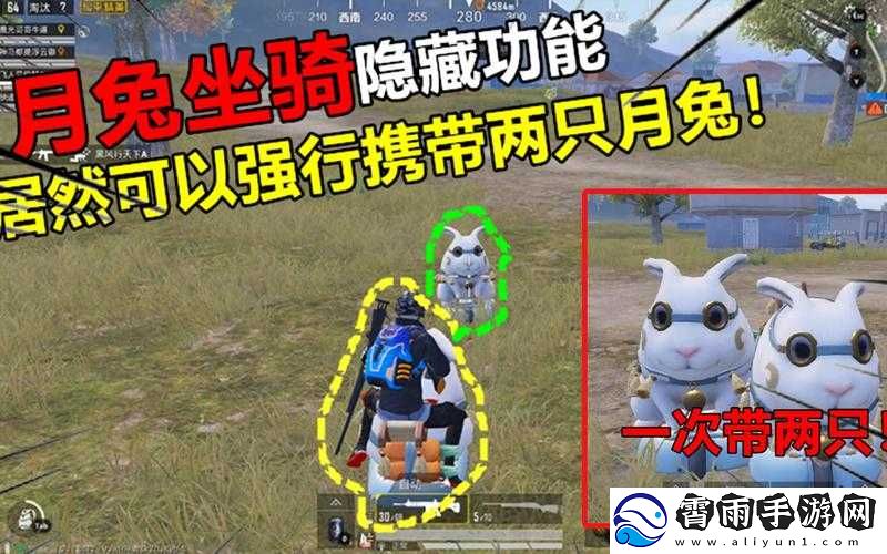 和平精英月兔车刷新之谜：揭秘兔子坐骑隐藏位置坐标-探索游戏神秘角落