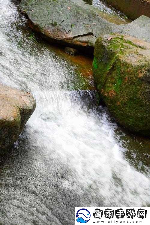 黄龙直捣溪水潺潺：绝美自然景观探秘
