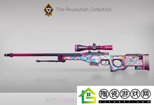 日本CSGO大姐姐AWP价格多少钱