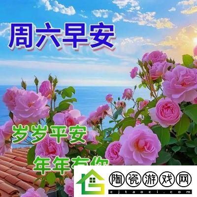 kdbacc小蝌蚪新版本特性解析