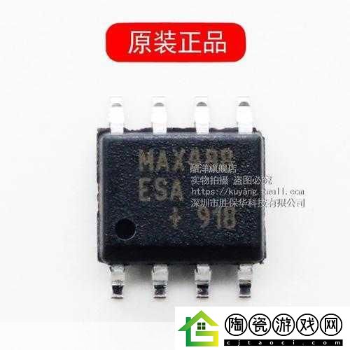 MAX488国产：基于MAX488的国产通信芯片开发与应用探索