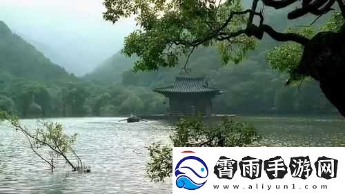 如何寻觅轮回草-探索修仙路上的奇遇