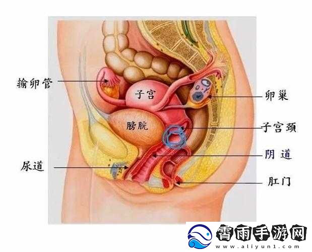 大腿中间一张嘴