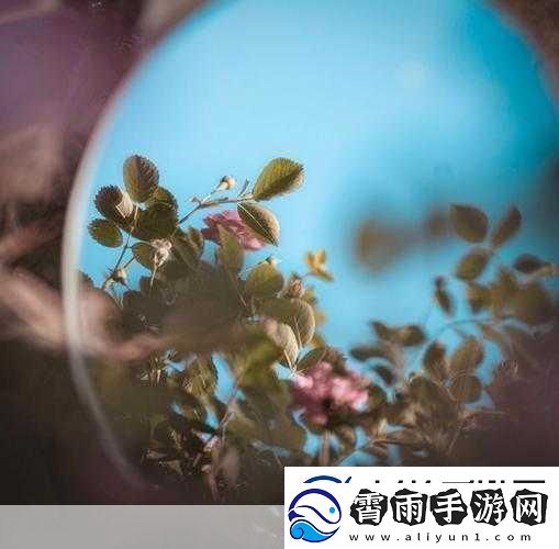对镜子看我们的结合处1.镜中映照