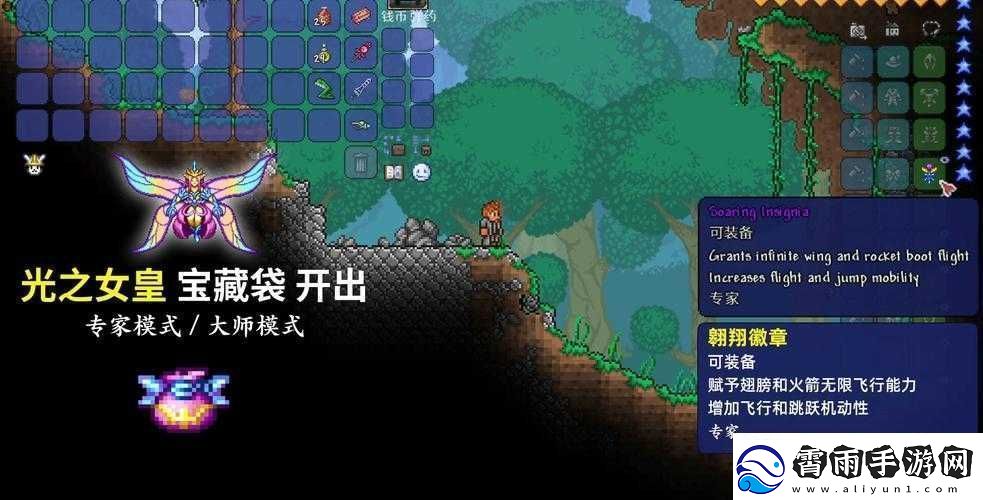 泰拉瑞亚：翅膀与鞋子的抉择