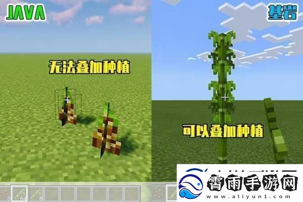 揭秘高效秘诀