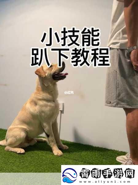 人狗胶配方大全免费天