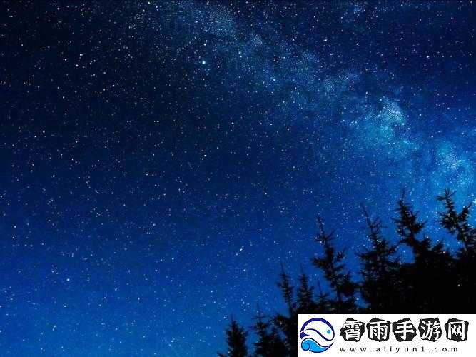 适合凌晨三四点看的片：静谧时光的独特观影选择