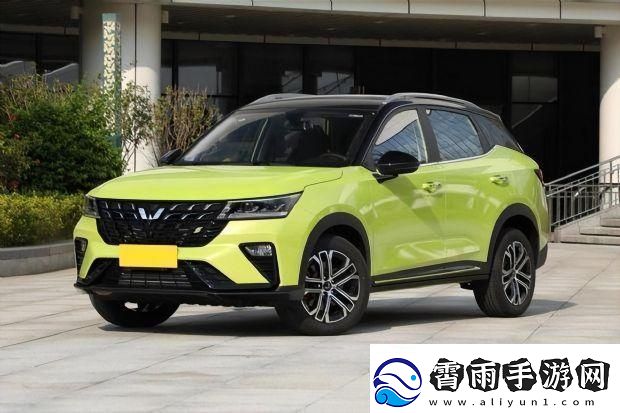 “国产最美SUV-颜值炸裂-掀起狂潮！”