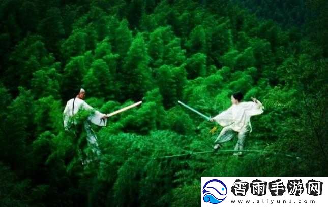 卧虎藏龙之毒神殿：秘境探寻之旅
