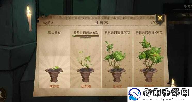 哈利波特魔法觉醒：探寻冬青木盆栽的秘密位置