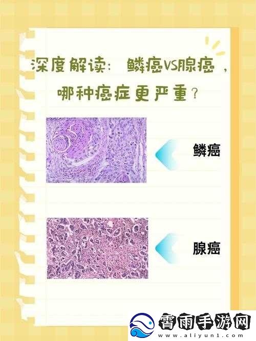 超级肉禽系统情节分析