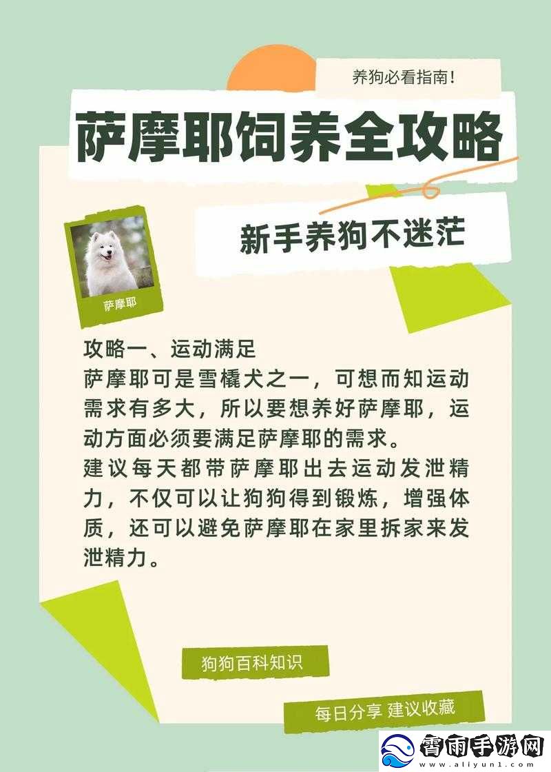 探究乱斗西游中伏羲琴的正确使用方法与技巧指南