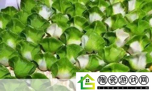 肉馅小水饺老师要稳住