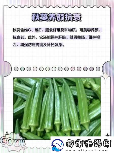 秋葵适合未满十八岁的人吃吗-1.-秋葵的营养价值：未成年人适合食用吗