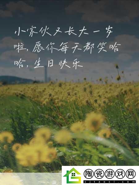 儿子啊儿子妈妈理解你是什么歌