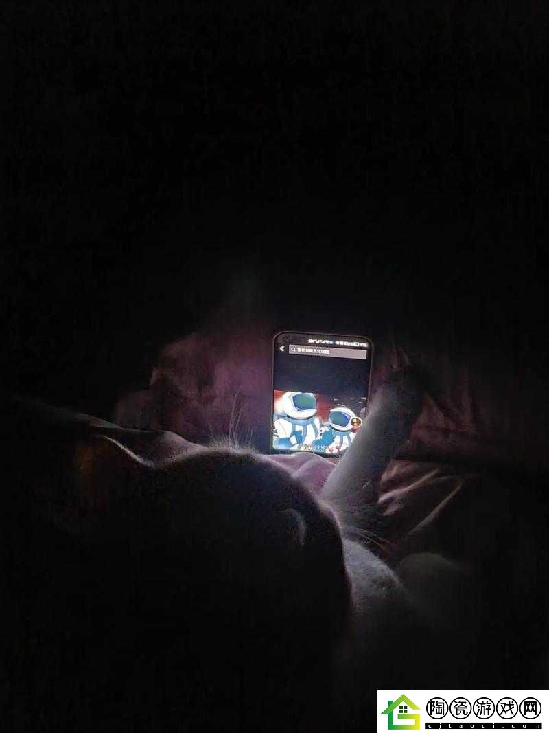 男生半夜不睡觉偷偷看-B-站：背后的秘密
