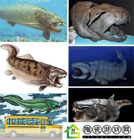 得到超级肉禽系统的紫岭红山有什么特别之处：1.-紫岭红山：探索超级肉禽系统的独特优势