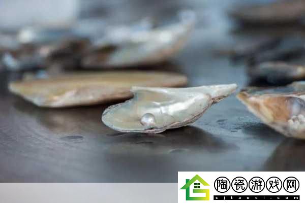 狂涨肥白的玲珑的肉蚌
