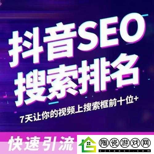 后SEO短视频页入口引流