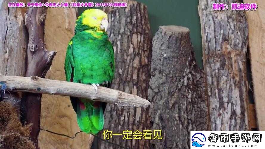 天天想你