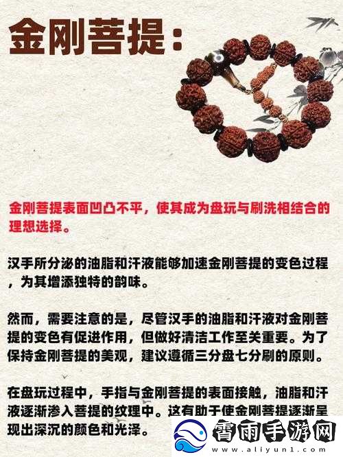 糖糖游乐园通缉令新手必备攻略教你轻松上手