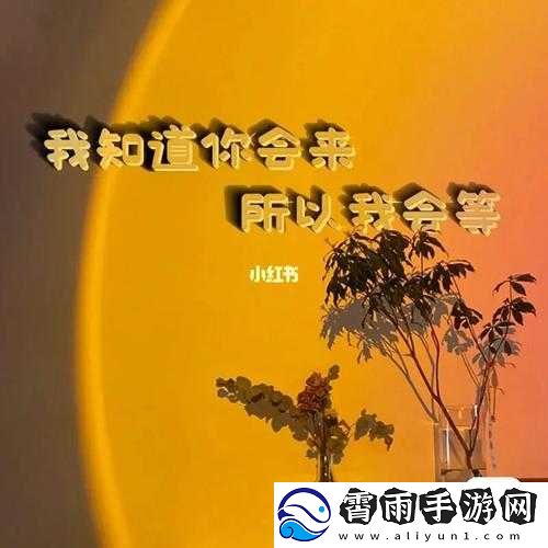 打开这个网站你会感谢我：惊喜等你发现