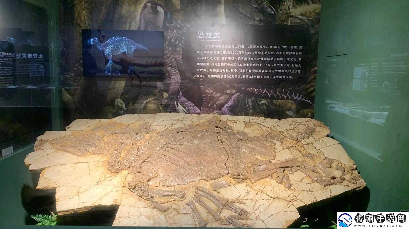 探索神秘的史前世界：我的化石博物馆鸟脚龙图鉴带你领略鸟脚龙的独特风采