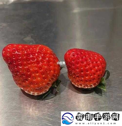 蜜丝婷大草莓和小草莓对比：你选对了吗