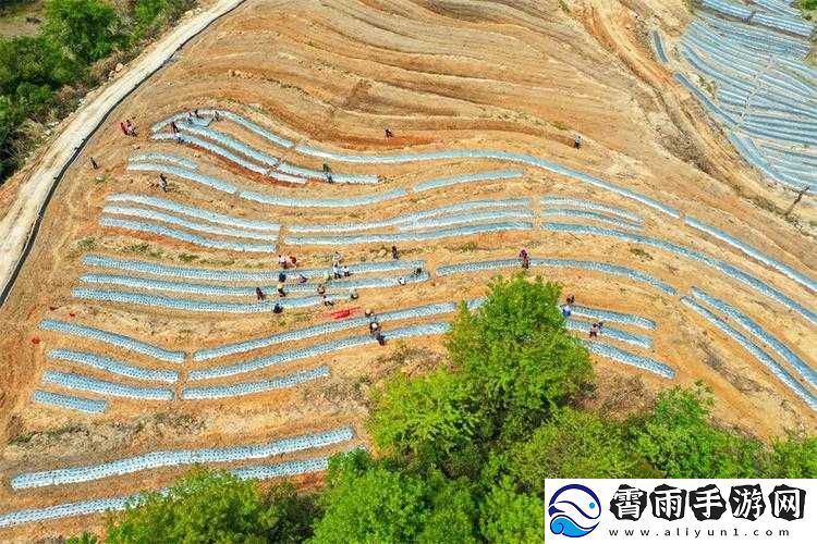开垦母亲肥沃的土地