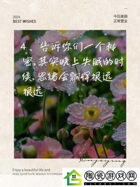 凌晨三点播放的视频叫什么