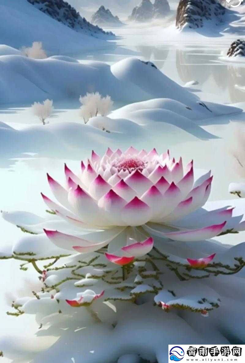 女子半夜莲花悄然绽放