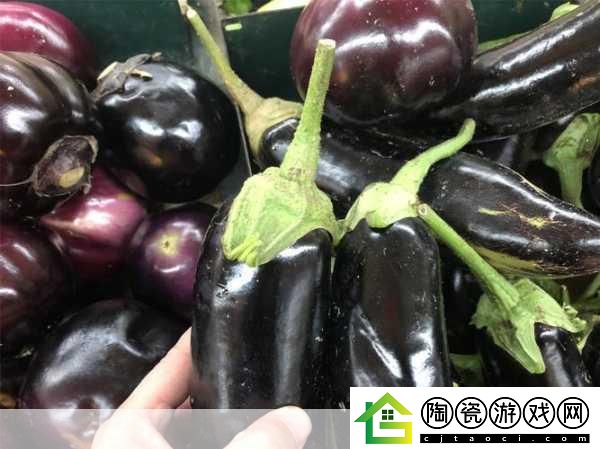 茄子最汅api免费下载安装
